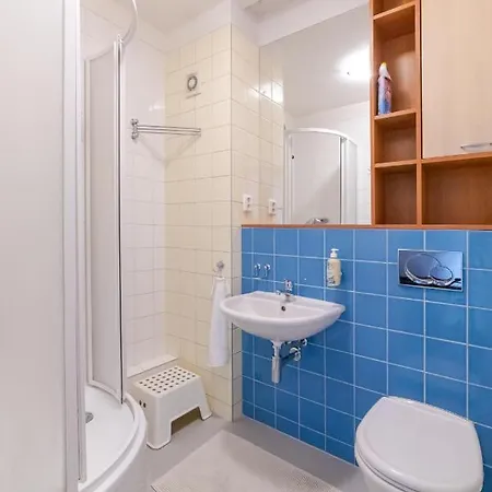 Strawberry * 布拉迪斯拉发